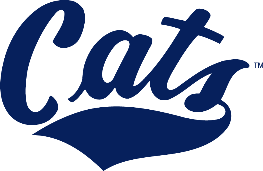 Montana State Bobcats 2013-Pres Wordmark Logo v2 diy iron on heat transfer